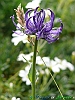 Campo Imperatore-photogallery-P1040872+.jpg